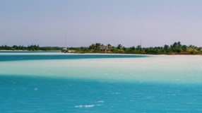 PLAYA LARGA, La Villita App